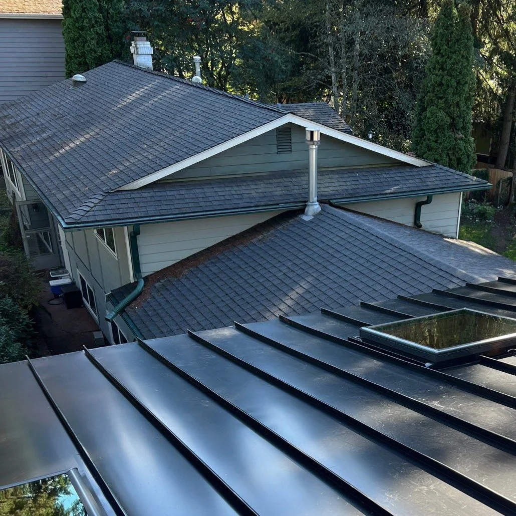 Black standing seam metal roof with skylights overlooking a neighboring shingle roof.
