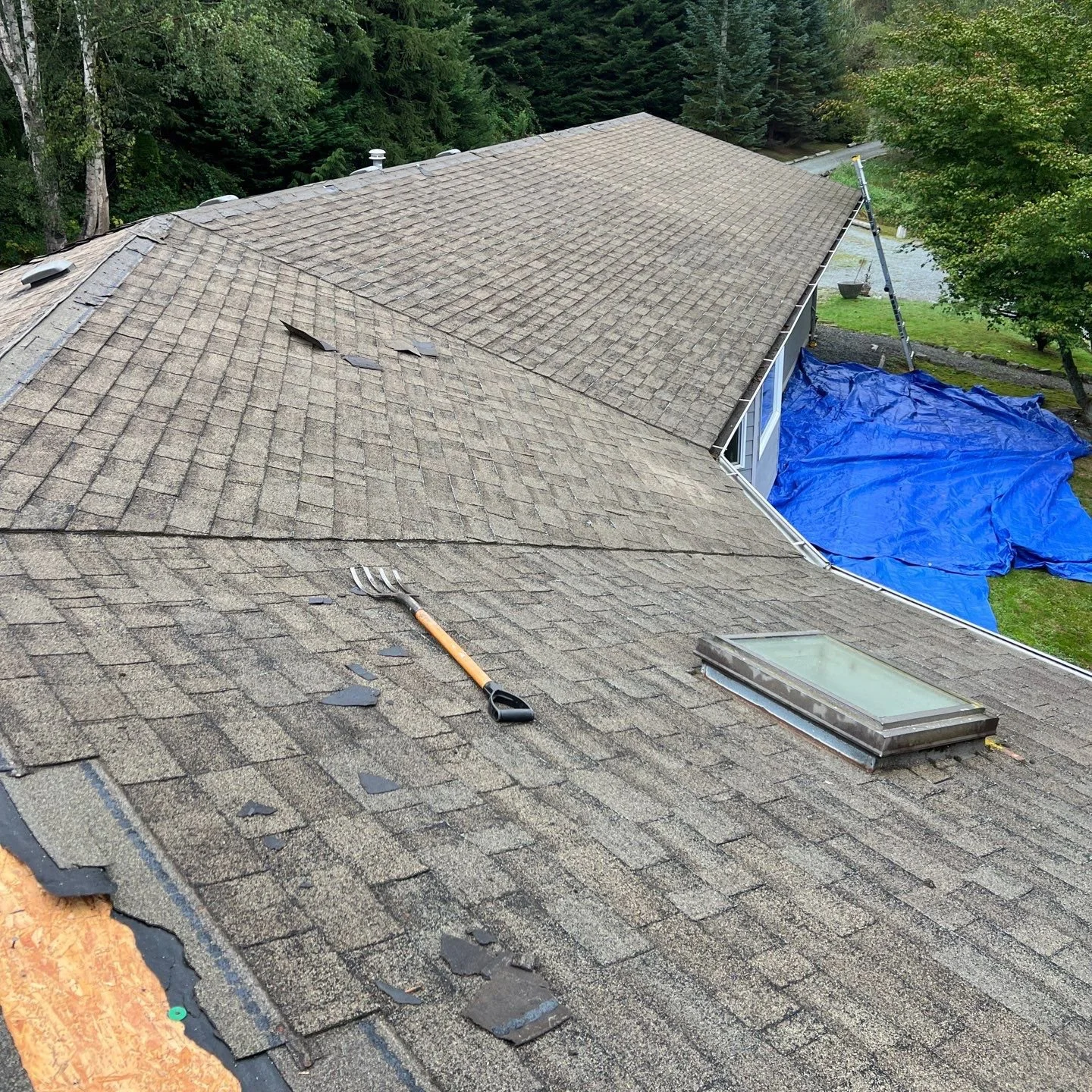 Weathered shingle roof during tear-off with removed shingles, skylight, and protective ground tarps.