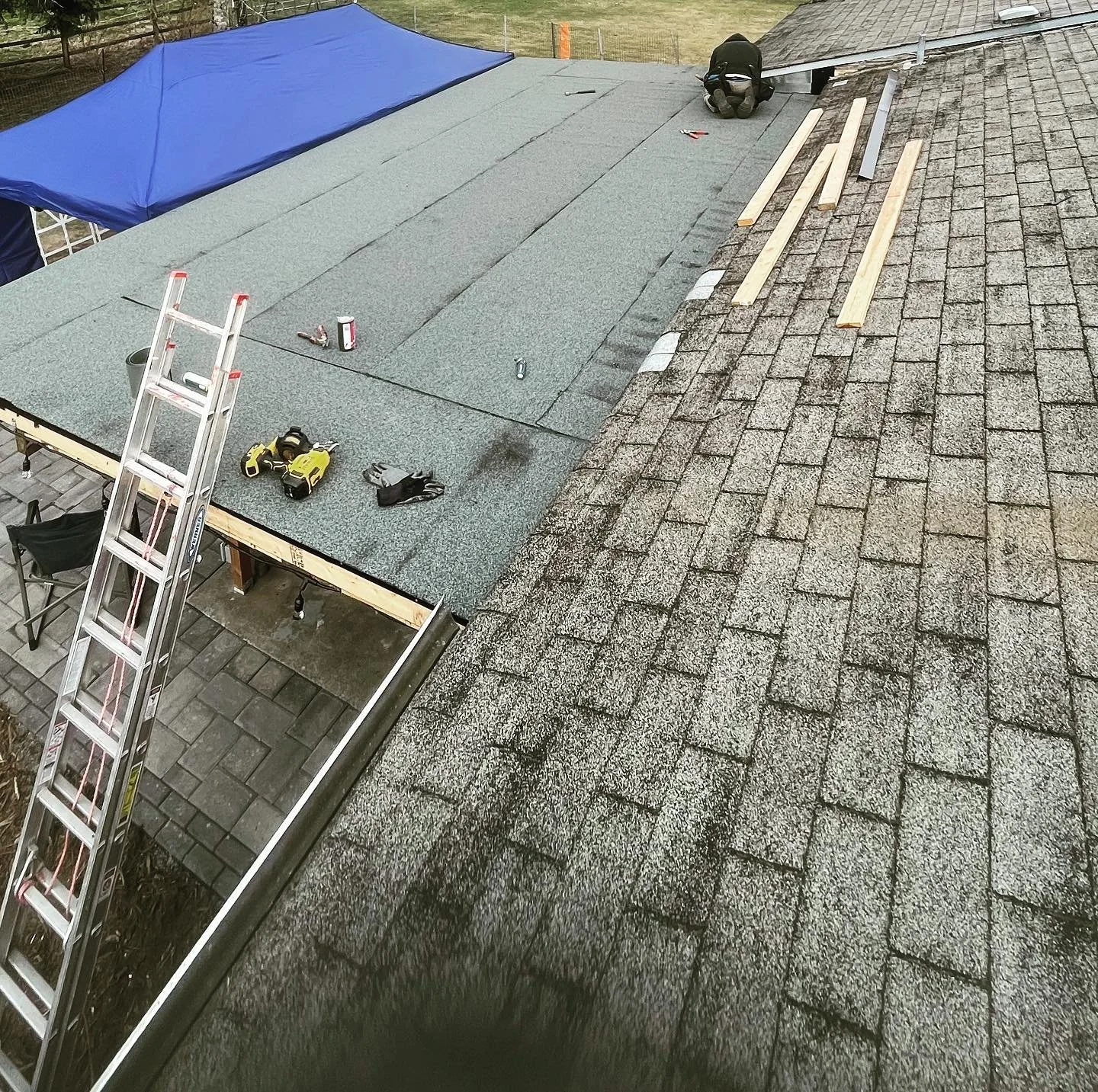 Residential roof replacement in progress with new underlayment, ladder, and roofing materials.
