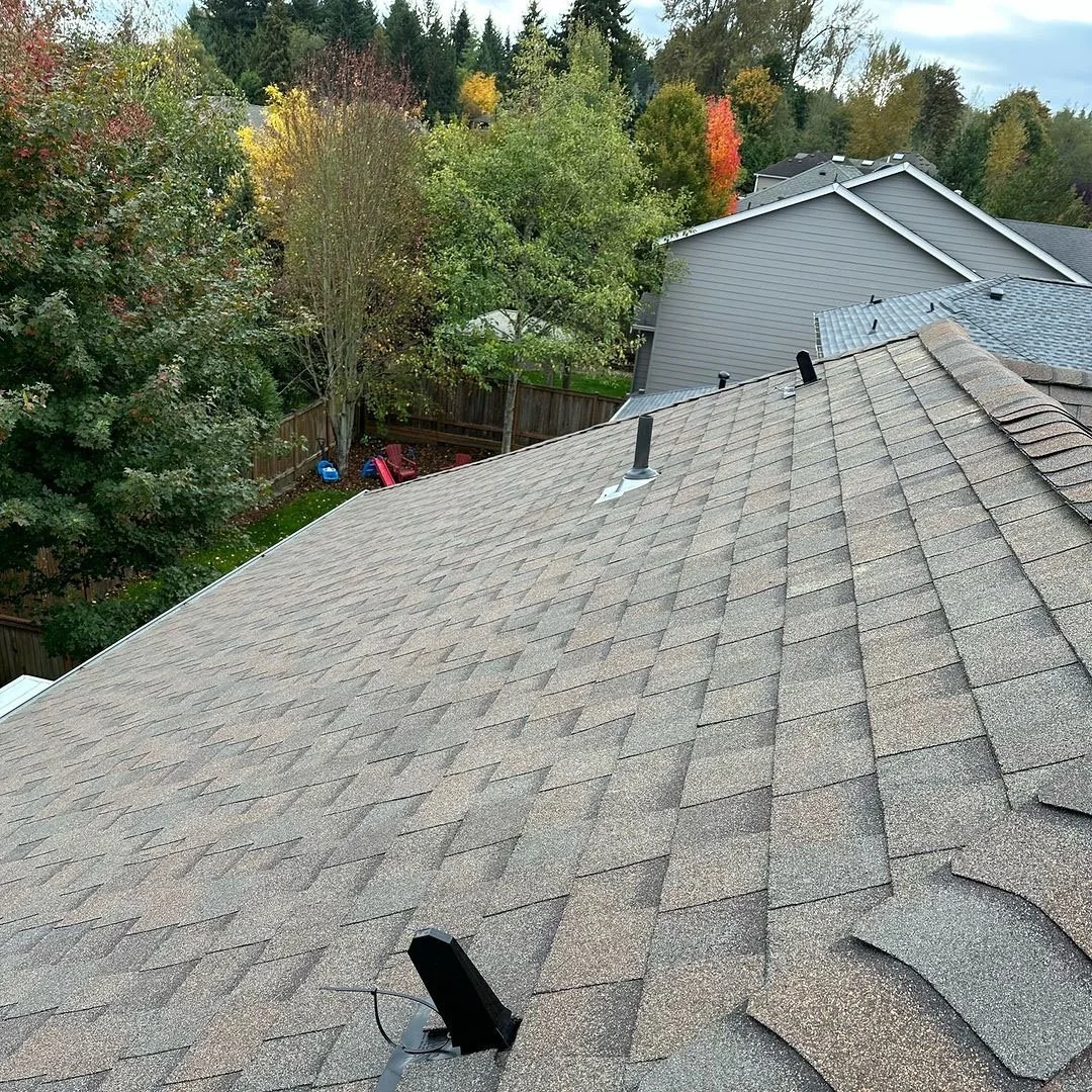 Close-up of a newly installed gray asphalt shingle roof with ridge vent and roof vents overlooking a wooded neighborhood
